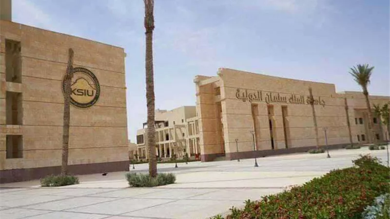 التعليم العالي: الدولة نفذت 37 مشروعًا تعليميًا في أرض الفيروز