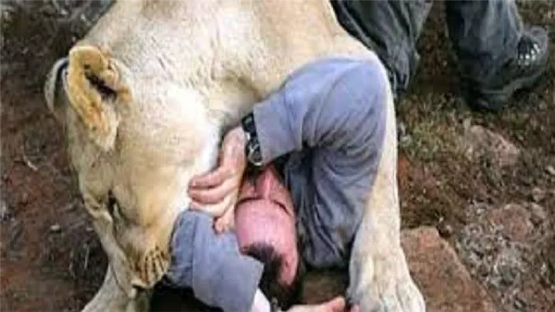 فنان شهير يطلب إطعام الأسود جثته عقب وفاته.. صورة