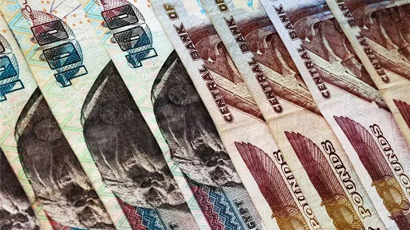39.14% خلال يوم واحد.. أعلى فائدة على شهادات الادخار في مصر.. تفاصيل