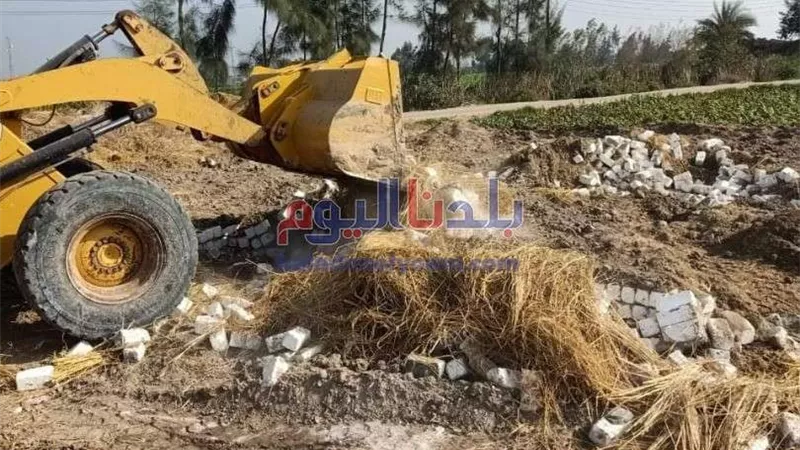ازالة حالتي تعدي علي الأراضي الزراعية في حوش عيسي