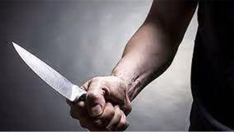 ضبط المتهم بطعن جارة بسكين في المنصورة