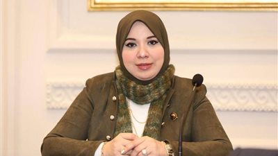 النائبة دينا هلالي: الحوار الوطني يدعم  مسار الديمقراطية