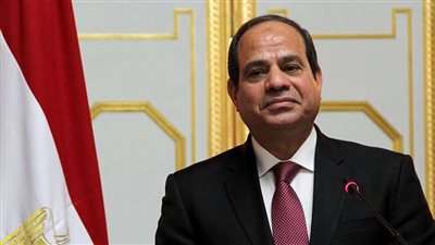 الرئيس السيسي: العلاقات بين مصر والنمسا قوية وتعود لأكثر من 150 عاما