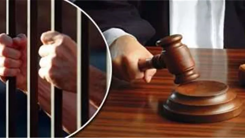 إخلاء سبيل السائق المُتسبب في إصابة 3 أشخاص إثر حادث تصادم بالعجوزة