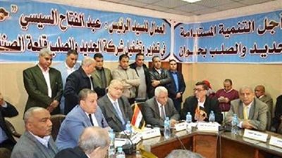 الحكومة تنهي الجدل حول الموقف النهائي لشركة الحديد والصلب