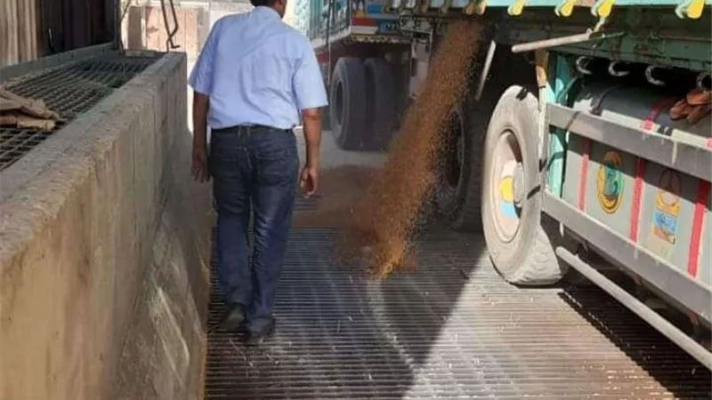 محافظ سوهاج: توريد 2401 طن قمح منذ بدء الموسم دون معوقات