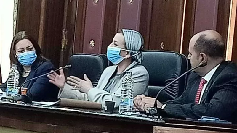 ياسمين فؤاد: لدينا تكليفات رئاسية بمواجهة تلوث الهواء في القاهرة الكبرى