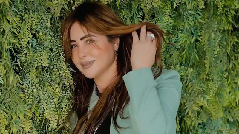 جيهان مديح: إصدار قانون المحليات على رأس أولوياتنا فى الحوار الوطني