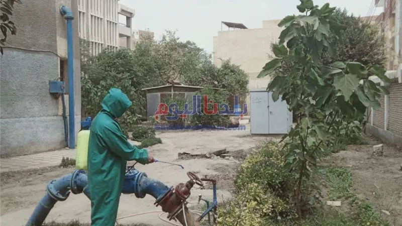 رئيس مياه المنوفية يستجيب لشكوى سكان شارع مسجد التوبة ويتفقد محطات شبين الكوم