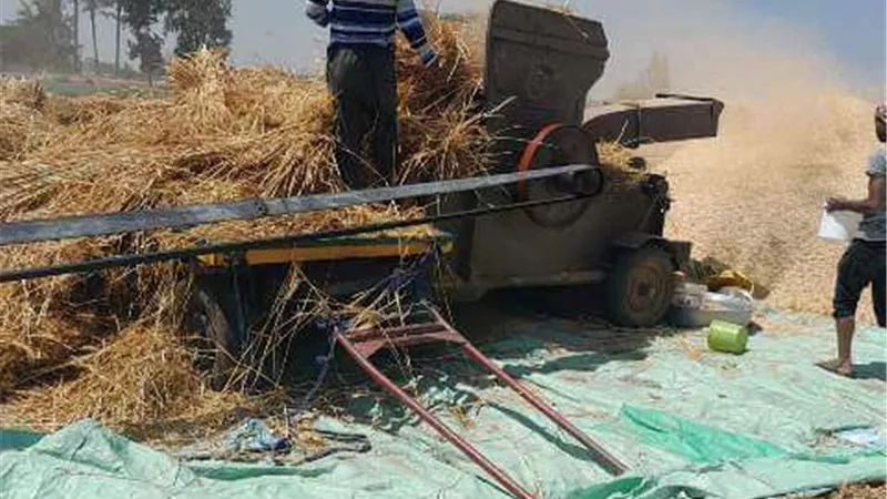 صوامع الشرقية تستقبل أطنان الخير من القمح.. تفاصيل