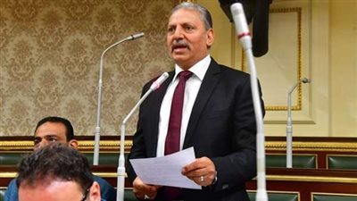 المصري : الدعوة للحوار الوطني سُطرت في التاريخ بحروف من نور