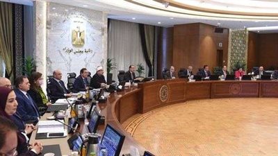 5500 جنيه .. الوزراء يحدد سعر ضمان لتوريد القطن
