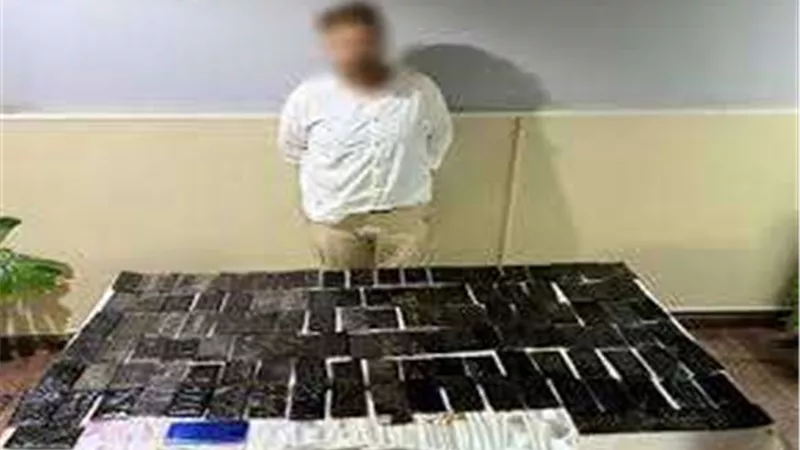 ضبط شخص بحوزته 12 كيلو حشيش بالجيزة