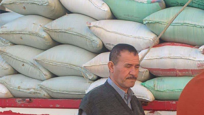 تموين الشرقية