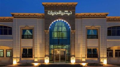 ميناء دمياط: إجمالي عدد السفن الموجودة بالميناء 32 سفينة
