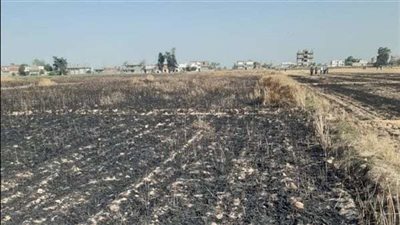 الحماية المدنية تسيطر على حريق 9 أفدنة بالبحيرة