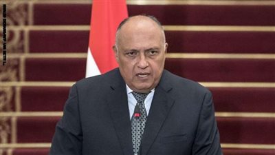 من داخل البرلمان.. وزير الخارجية يوجه رسالة مهمة إلى قطر