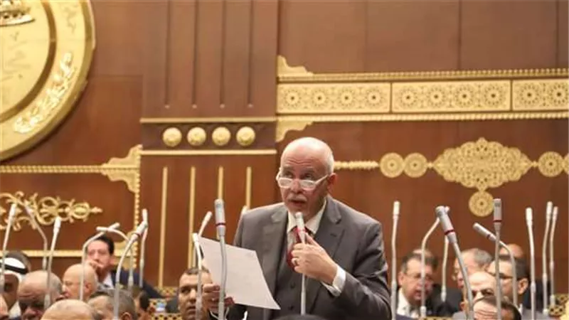برلماني: يطالب بتمثيل المصريين في الخارج في الحوار الوطني
