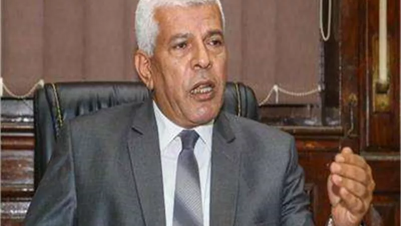 نقيب الزراعيين: توجيهات الرئيس في منظومة القمح هدفها توفير حياة كريمة للفلاحين