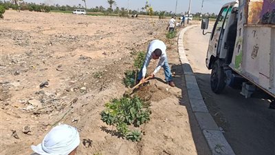 متابعة تنفيذ أعمال المبادرة الرئاسية للتشجير بمركز بني مزار