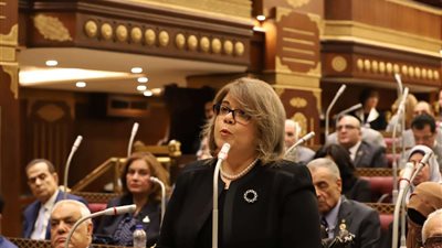 النائبة فيبي فوزي: التعليم هو كلمة السر في بناء الإنسان المصري