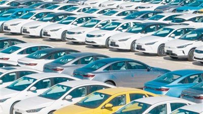 الأسبوع الأخير.. 713 مليون دولار حصيلة مبادرة تيسير استيراد سيارت المصريين بالخارج