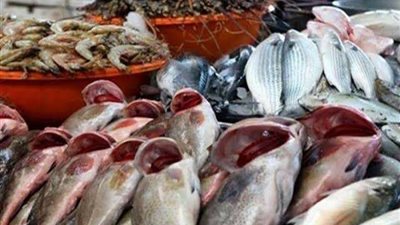 أسعار الأسماك اليوم الإثنين