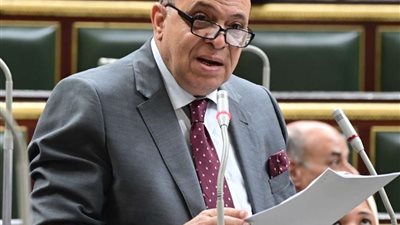 أمام النواب.. ممثل 