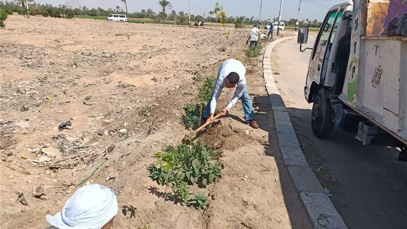 متابعة تنفيذ أعمال المبادرة الرئاسية للتشجير بمركز بني مزار
