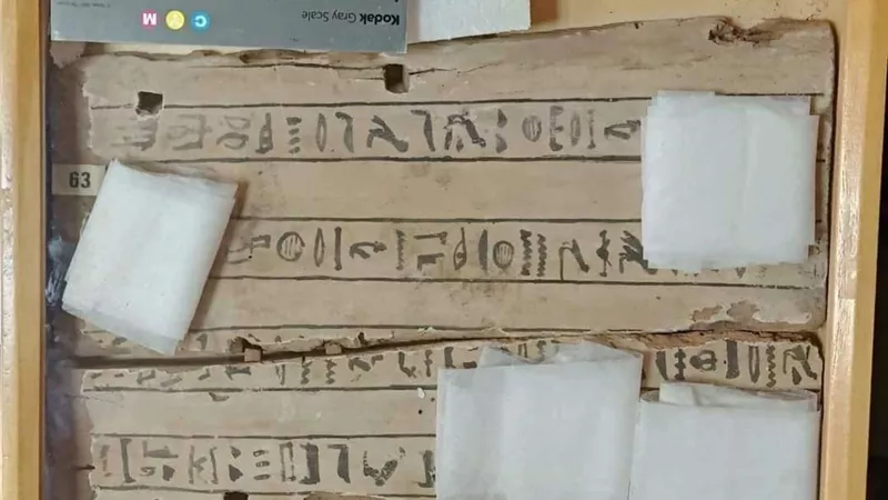 وزارة الخارجية تسلم 