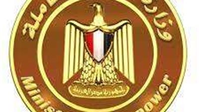 وزارة القوى العاملة: تعيين 1163 شاباً في البحيرة