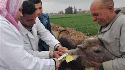 خاص|  