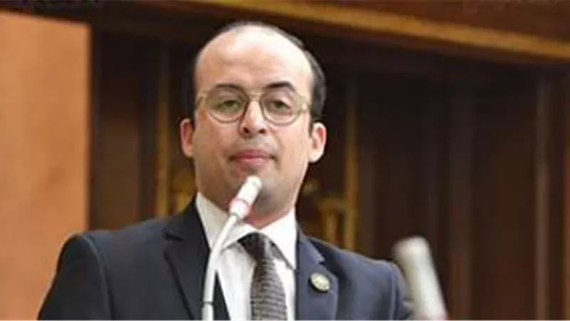 برلماني: لا يوجد نتائج جيدة لاستثمار بدون دراسة جدوى