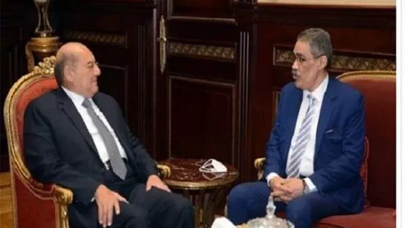 ضياء رشوان: مجلس الشيوخ يمثل جزءًا مهمًا من تاريخ مصر البرلماني وعاد في توقيت شديد الأهمية