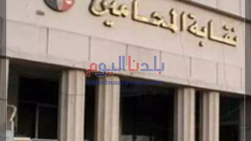 وقف انتخابات نقابة المحامين بالمحلة