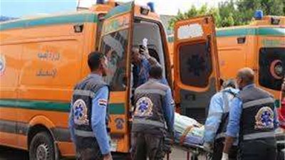 مصرع مسن في حادث مروري بالوادي الجديد