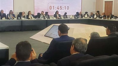 المغازى: أؤيد إجراء الانتخابات بنظام القائمة النسبية