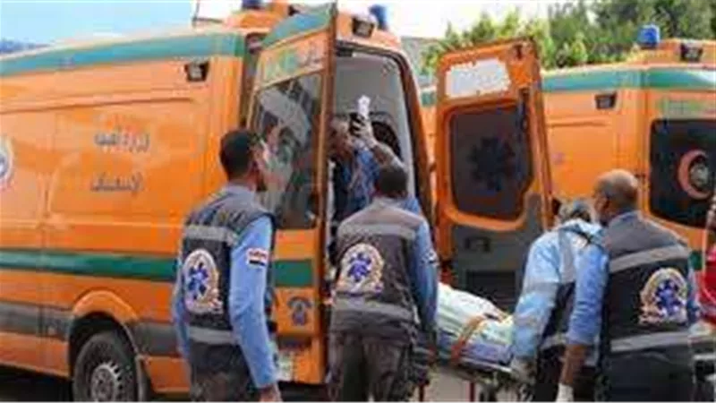 مصرع مسن في حادث مروري بالوادي الجديد