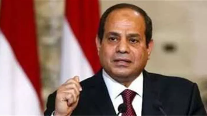 الرئيس السيسي يبحث مع شركة سكاتك التعاون في مجال الطاقة المتجددة