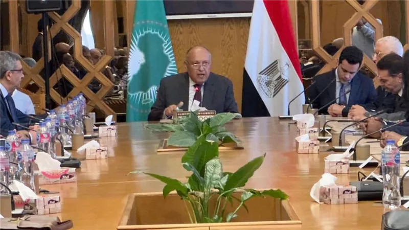 وزير الخارجية يلتقي السفراء الأفارقة بمناسبة يوم إفريقيا
