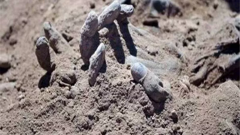 العثور على 