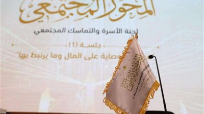 ممثل حزب النور: هناك تداخل بين مفهوم الولاية على المال و النفس