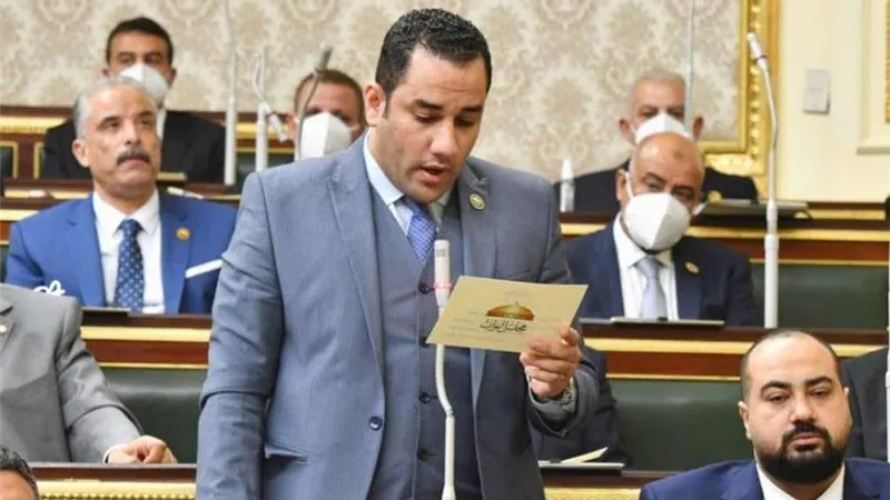 خاص| برلماني: «مستقبل وطن» جاهز لأي نظام انتخابي و62% من مقاعده فردي.. فيديو