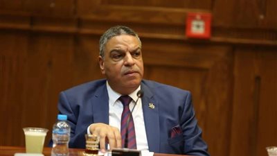 النائب السيد جمعة: كلمة الرئيس بقمة جدة قدمت استراتيجية لأولويات العمل العربي المشترك