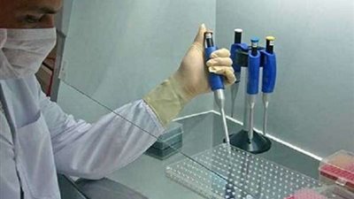 الحكومة تكشف حقيقة ألغاء طرح عملات معدنية لـ 