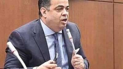 عصام هلال: الرئيس وضع يده على مشكلات المواطنين بمتابعته الحيوية