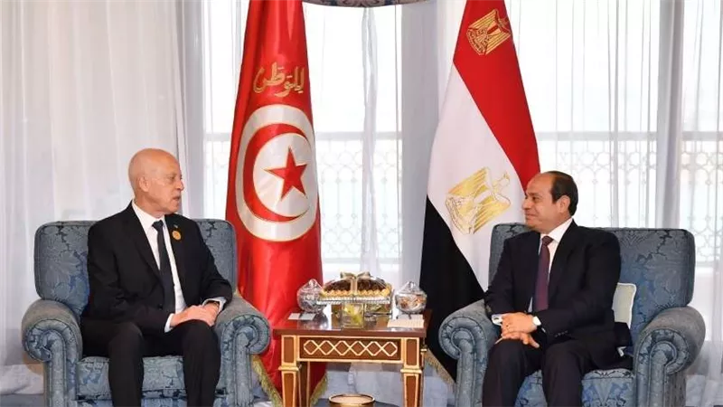 الرئيس التونسي: نرغب في الاستفادة من تجربة مصر التنموية ومكافحة الإرهاب