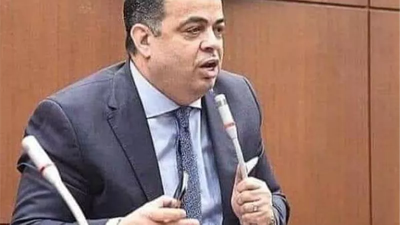 عصام هلال: الرئيس وضع يده على مشكلات المواطنين بمتابعته الحيوية