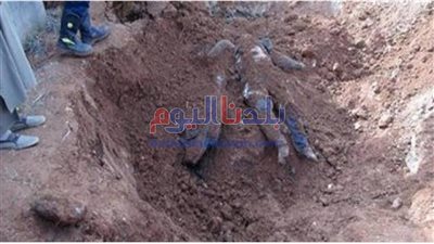 مباحث المحلة تكشف تفاصيل جديدة عن جثة مقابر قرية الهياتم (صورة)