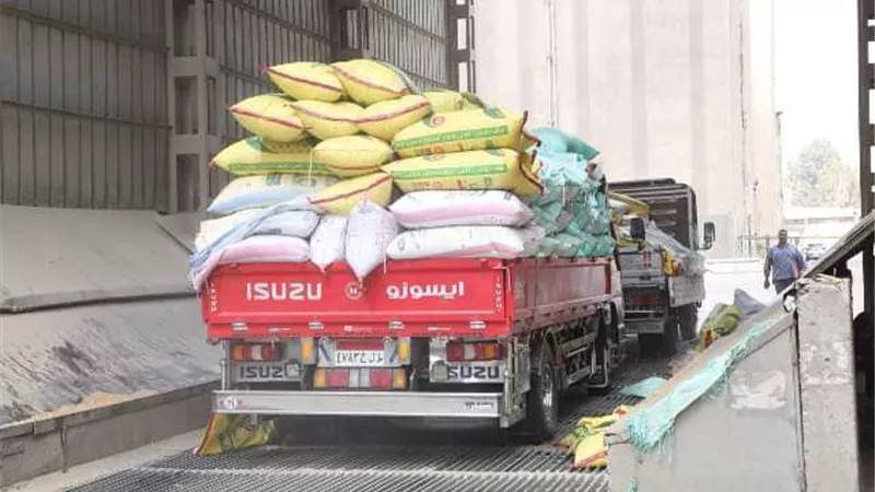 ضبط 601 طن قمح محلى مهرب بالدقهلية